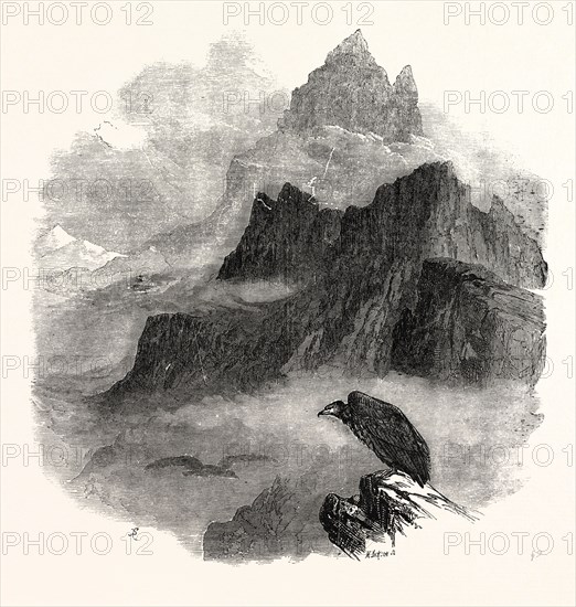 SUMMIT OF THE PIC DU MIDI D'OSSEAU, PYRENEES, 1854