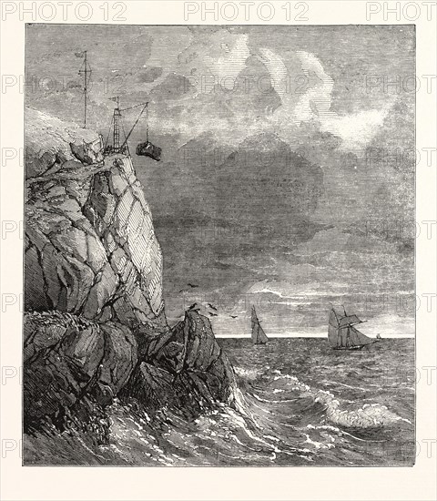 THE LIZARD SERPENTINE SIGNAL-STAFF QUARRY, NEAR CADGWITH, CORNWALL, 1854