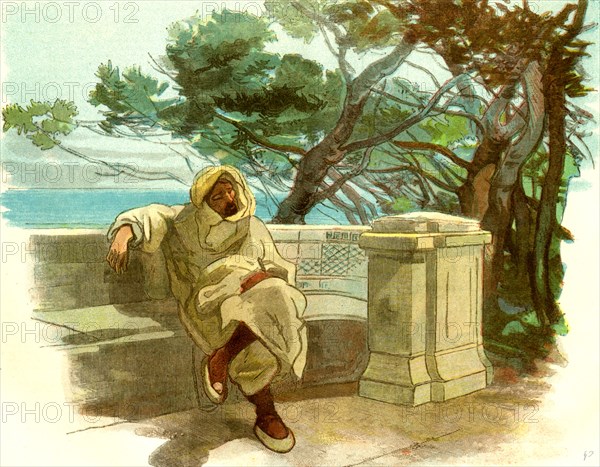 View in the Jardin Marengo, Algiers, 1885