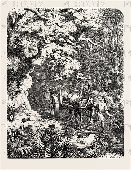 WILLIAM'S CORPSE BORNE TO ITS BURIAL.