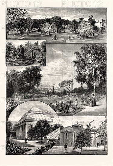 EDINBURGH: THE ROYAL BOTANIC GARDENS; 1.General View of the Gardens; 2. The Arboretum; 3. Rock Garden; 4. Palm Houses; 5. Class Room and Entrance to Museum