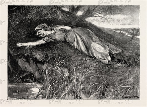 TESS OF THE D'URBERVILLES: "Tess flung herself down upon the undergrowth of rustling spear-grass as upon a bed"
