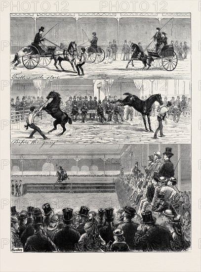 A PARISIAN HORSE SHOW