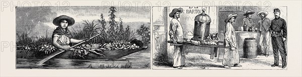 MEXICO: VEGETABLE MERCHANT (LEFT), TRIPE MERCHANTS (RIGHT)