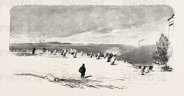 WAITING FOR THE PILGRIM SHIP NEAR SUEZ. Egypt, engraving 1879