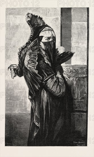 A SELLER OF TURKEYS.  Egypt, engraving 1879