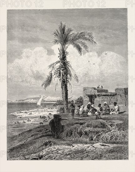 BANK OF THE NILE IN THE NEIGHBOURHOOD OF ABYDOS. Egypt, engraving 1879