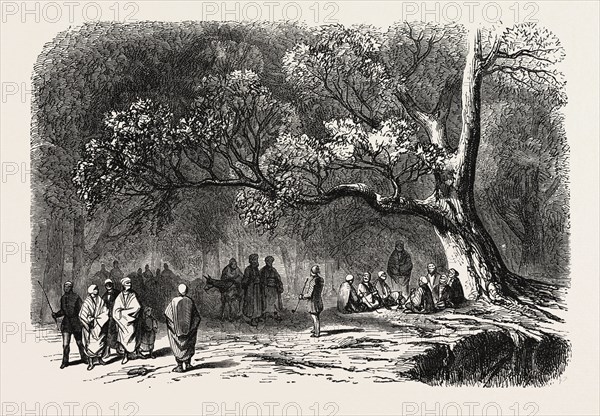 The kief in the islands of princes, 1855. Engraving