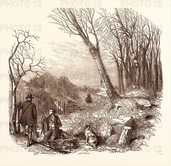 RABBIT SHOOTING, RABBITS