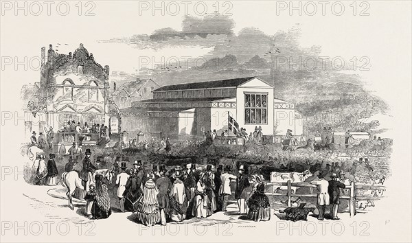 GREAT MEETING OF THE ROYAL AGRICULTURAL SOCIETY AT NEWCASTLE: THE GREAT PAVILION AND CATTLE SHOW, UK, 1846