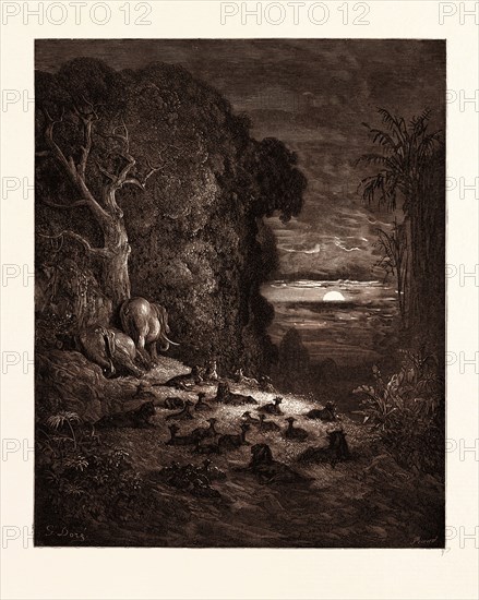 THE SEVENTH EVENING IN EDEN, BY GUSTAVE DORE, 1832 - 1883, French. Engraving for Paradise Lost by Milton. Wood engraving by Antoine Alphee Piaud after Gustave Dore, with signatures in the print. 1870, Romanticism, Art, Artist, romanticism, colour, color engraving