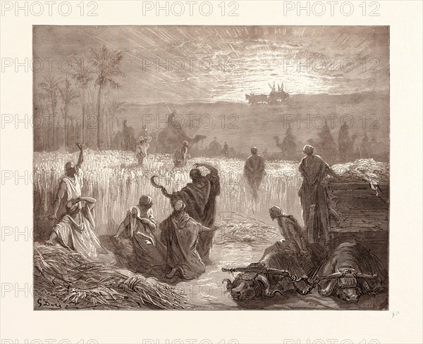 THE RETURN OF THE ARK TO BETH-SHEMESH, BY GUSTAVE DORE