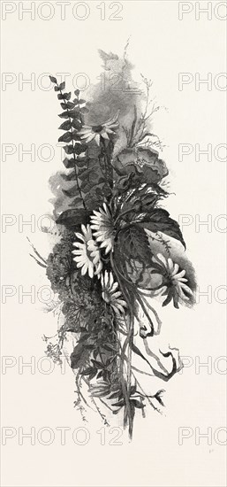 WOODLAND FLOWERS, CANADA, NINETEENTH CENTURY ENGRAVING