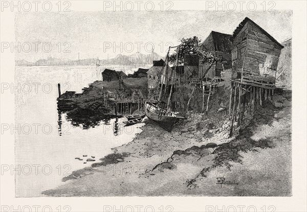 NEW BRUNSWICK, ST. JOHN, BACK OF HARBOUR, LOW TIDE, CANADA, NINETEENTH CENTURY ENGRAVING