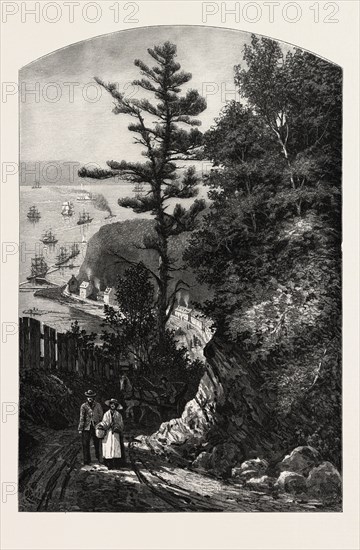 WOLFE'S COVE., CANADA, NINETEENTH CENTURY ENGRAVING