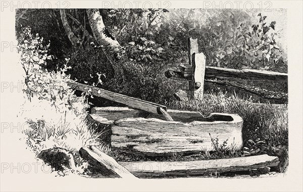 FRENCH CANADIAN LIFE, WAYSIDE WATERING TROUGH, CANADA, NINETEENTH CENTURY ENGRAVING