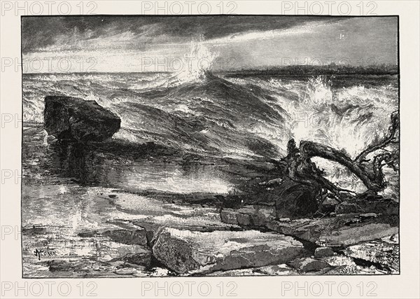 NIAGARA DISTRICT, RAPIDS ABOVE THE FALLS, CANADA, NINETEENTH CENTURY ENGRAVING