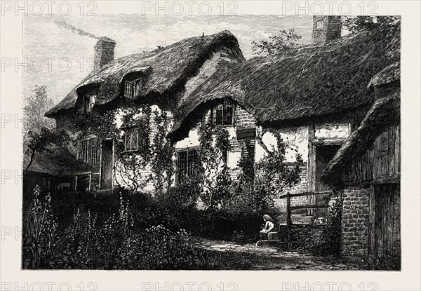 ANNE HATHAWAY'S COTTAGE,  Stratford upon Avon, Stratford-upon-Avon, UK, britain, british, europe, united kingdom, great britain, european