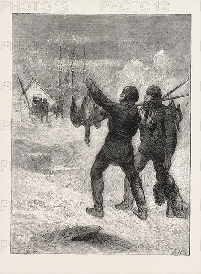 Christmas with the arctic expedition, 1876, FRESH MEAT FOR DINNER