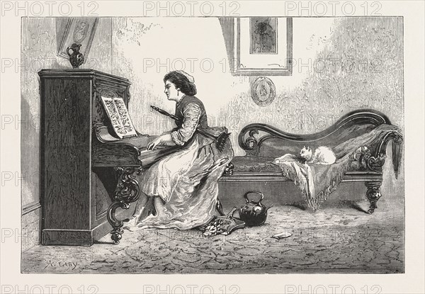ARTISTIC RECREATION., piano, playing, female, woman, interior, cat, room, ENGRAVING 1876, UK, britain, british, europe, united kingdom, great britain, european