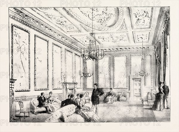 DUBLIN CASTLE IRELAND, THE STATE DRAWING-ROOM, 1888 engraving