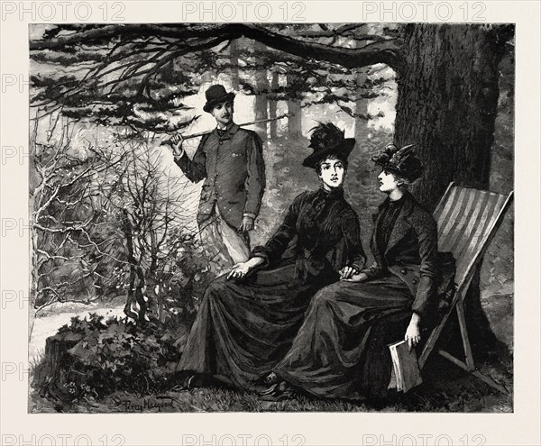 DRAWN BY PERCY MACOUOID, THE GREAT OLD CEDAR, Percy Macquoid, 1852-1925, was an English artist and illustrator described as the non plus ultra of elegance and mild refined feeling, engraving 1890, engraved image, history, arkheia, illustrative technique, engravement, engraving, victorian, Arts, Culture, 19th Century Style, Retro Styled, Vintage, retro, nineteenth century engraving, historic art