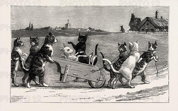 She wished them good night, and went up to bed; When to ! in the morning, The cats were all fled. But soon, what a fuss ? Where can they all be? Here, tussy, puss, puss ! " cried Dame Wiggins of Lee., engraving 1890, engraved image, history, arkheia, illustrative technique, engravement, engraving, victorian, Arts, Culture, 19th Century Style, Retro Styled, Vintage, retro, nineteenth century engraving, historic art
