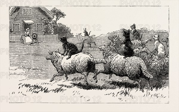The farmer soon heard where his sheep went astray, And arrived at Dame's door, with his faithful dog tray. He knocked with his crook, and, the stranger to see Out of window did look Dame Wiggins of Lee, engraving 1890, engraved image, history, arkheia, illustrative technique, engravement, engraving, victorian, Arts, Culture, 19th Century Style, Retro Styled, Vintage, retro, nineteenth century engraving, historic art