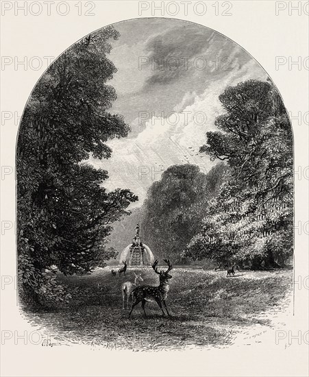 The Chestnuts in Bushey Park, the forest scenery of Great Britain, UK, U.K., Britain, British, Europe, United Kingdom, European, 19th century engraving