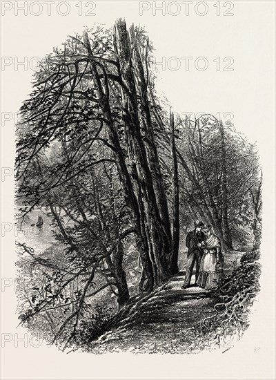 In Cliefden Woods, SCENERY OF THE THAMES, UK, U.K., Britain, British, Europe, United Kingdom, Great Britain, European, 19th century engraving