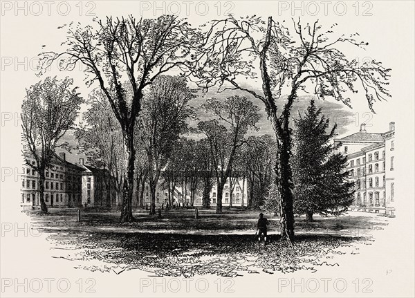 THE QUADRANGLE, HARVARD COLLEGE, CAMBRIDGE, MASSACHUSETTS, UNITED STATES OF AMERICA, US, USA, 1870s engraving