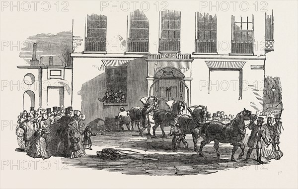 SINGULAR ACCIDENT IN HUNTER STREET, BRUNSWICK SQUARE, LONDON, UK. A Hansom cab was proceeding through Judd Street, when the horse, taking fright at the monster organ, started off at a rapid rate, and on reaching the last house on the left-hand in Hunter Street, bolted upon the pavement, and throwing down the iron railings, fell into the area with the cab upon him, 1851 engraving