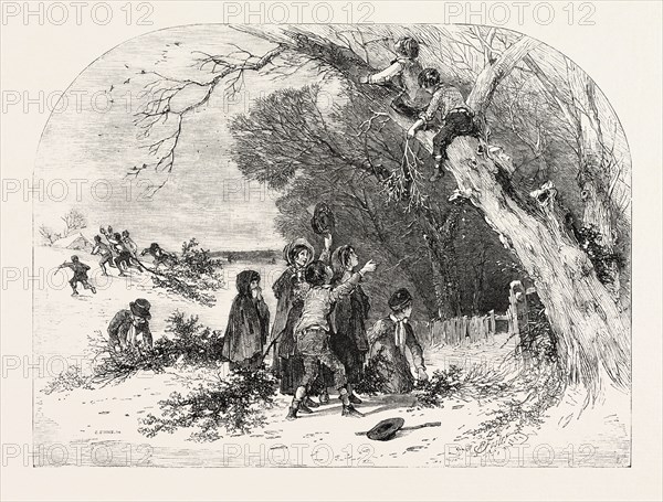 GATHERING MISTLETOE, DRAWN BY FOSTER