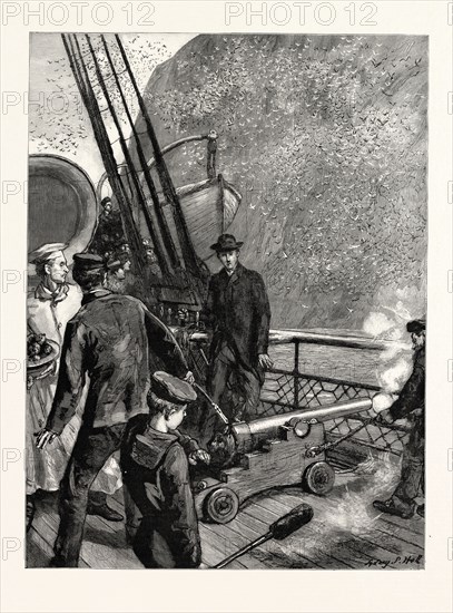 A TRIP TO NORWAY ON BOARD THE ORIENT LINE STEAMSHIP GARONNE: STARTLING THE NATIVES ON BASS ROCK, MARITIME, 1890 engraving