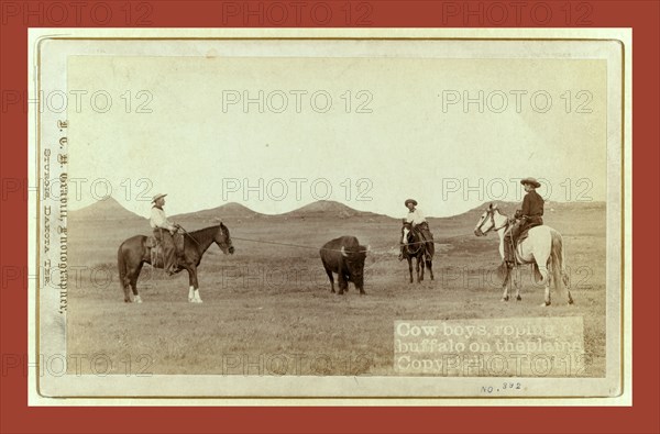 Cowboys, roping a buffalo on the plains, John C. H. Grabill was an american photographer. In 1886 he opened his first photographic studio