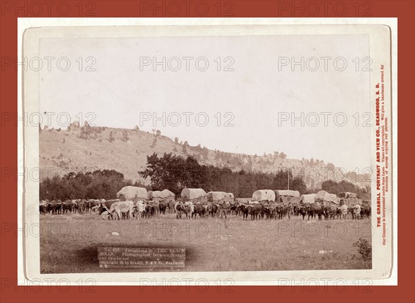 Freighting in The Black Hills. Photographed between Sturgis and Deadwood, John C. H. Grabill was an american photographer. In 1886 he opened his first photographic studio