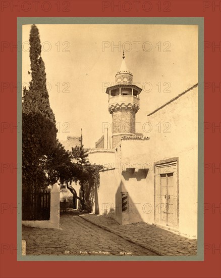 Tunis, a mosque, Tunisia, Neurdein brothers 1860 1890, the Neurdein photographs of Algeria including Byzantine and Roman ruins in Tébessa and Thamugadi; mosques, shrines, public buildings, palaces, and street scenes in Mostaganem, Biskra, Algiers, Tlemcen, Constantine, Oran, and Sidi Bel AbbÃ¨s; and the cathedral at Carthage. Portraits of Algerian people include Berbers, Ouled NaÃ¯l women, and prisoners in Annaba. Tunisian views include mosques, buildings, and street scenes in Tunis.