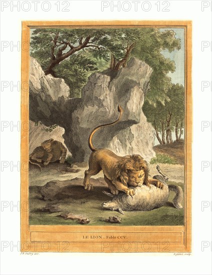 A.-J. de Fehrt after Jean-Baptiste Oudry (French, born 1723 ), Le lion (The Lion), published 1759, hand-colored etching, Gift of Mr. and Mrs. George W. Ware