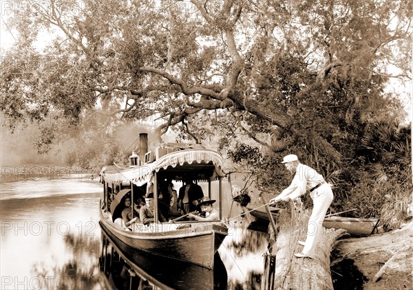 On the Tomoka, Jackson, William Henry, 1843-1942, Steamboats, Waterfronts, Rivers, United States, Florida, Tomoka River, 1880