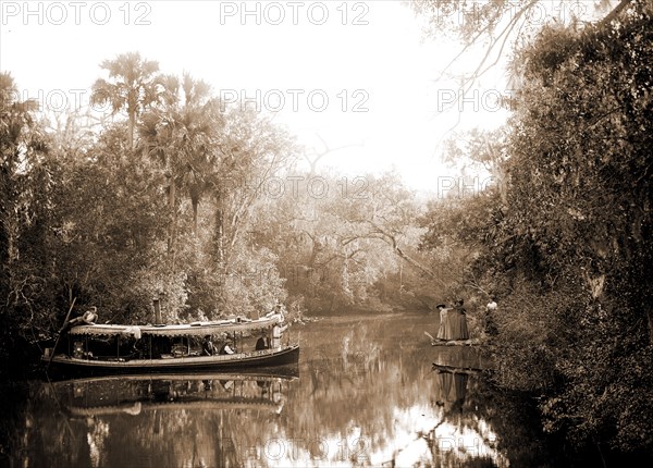 Boating on the Tomoka, Jackson, William Henry, 1843-1942, Steamboats, Rivers, United States, Florida, Tomoka River, 1880