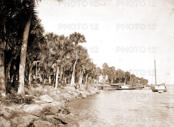 Rockledge, Indian River, Jackson, William Henry, 1843-1942, Hotel Rockledge (Fla.), Hotels, Waterfronts, Bays, United States, Florida, Indian River, 1880