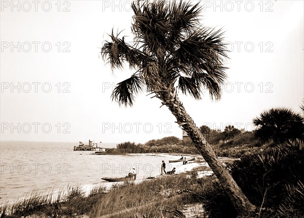 Turkey Creek Landing, Indian River, Jackson, William Henry, 1843-1942, Waterfronts, Bays, United States, Florida, Indian River, United States, Florida, Turkey Creek, 1880