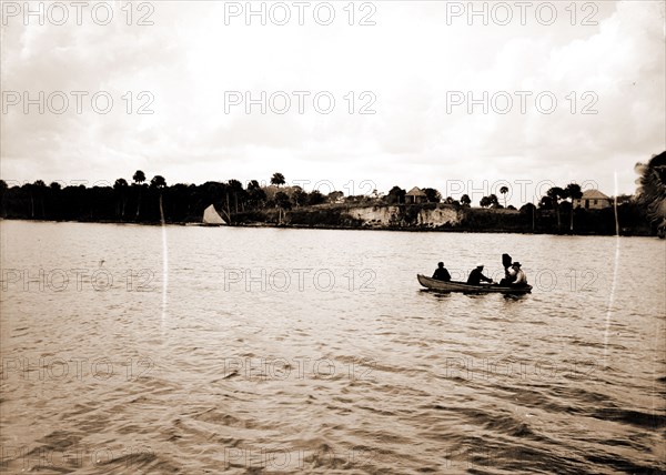 Shell mound Barker's Bluff, Indian River, Jackson, William Henry, 1843-1942, Waterfronts, Rowboats, Bays, United States, Florida, Indian River, United States, Florida, Barker's Bluff, 1880