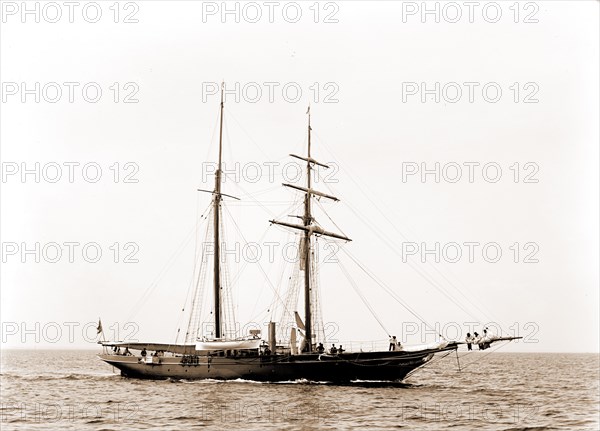 Golden Fleece, Satanella (Steam yacht), Steam yachts, 1891