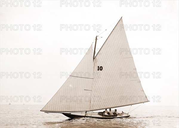 Vanessa Eastern Yacht Club regatta, Vanessa (Yacht), Yachts, Regattas, 1892