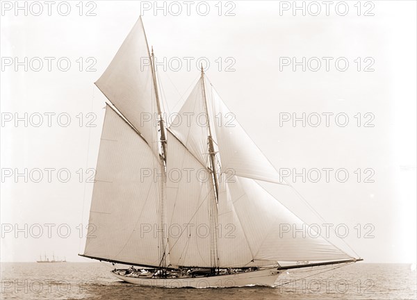 Marguerite, Marguerite (Schooner), Goelet Cup Race, Regattas, Yachts, 1892