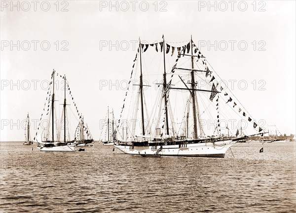 Sultana, Sultana (Steam yacht), Steam yachts, 1892