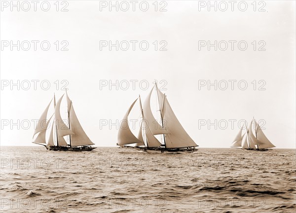 Ramona, Alcaea, and Merlin, Ramona (Schooner), Alcaea (Schooner), Merlin (Schooner), Morgan Cup race, Regattas, Yachts, 1892