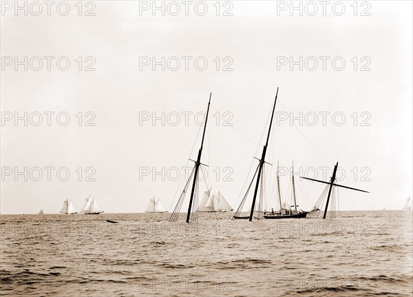 Wreck of Alba, Aug. 8, 1892, Alba (Yacht), Marine accidents, Yachts, 1892