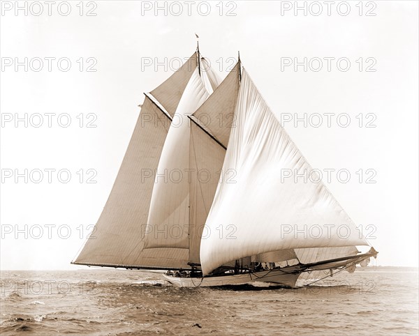 Merlin, Merlin (Schooner), Morgan Cup race, Regattas, Yachts, 1892